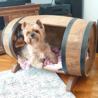 Image de CREATIVE COOPER : niche pour chien, niche en bois en forme de tonneau, niche de style rustique, solide et élégante, 80 x 50 cm, panier pour petits chiens