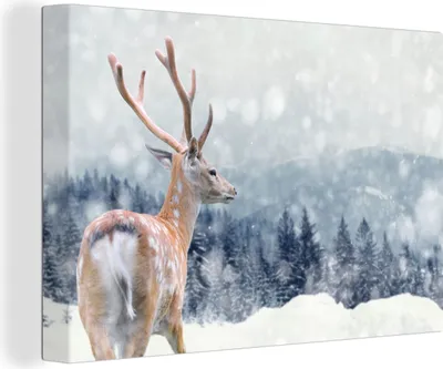 Produktbild von MuchoWow® - Leinwandbilder - Winter - Hirsche - Tiere, Wandbild, Wanddeko Bilder Wohnzimmer, 60x40 cm
