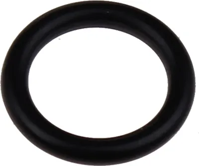 Zdjęcie produktu dla Kärcher O-Ring 8,73x1,78