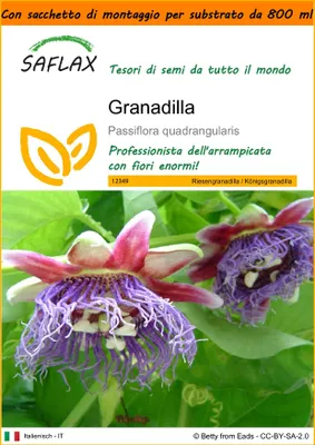 Immagine prodotto di SAFLAX Garden in the bag - Granadilla - 12 semi - Passiflora