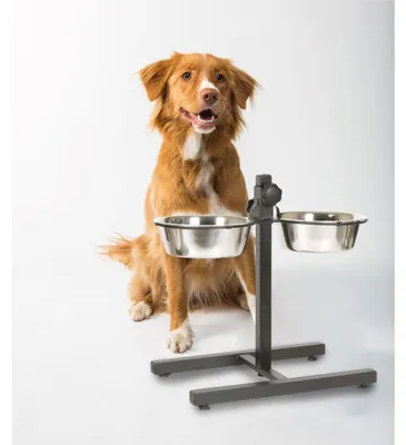 Image de Gamelle double réglable en hauteur 2x1600ml en acier inoxydable Gamelle pour chien Gamelle