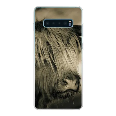 Produktbild von MuchoWow® Handyhülle Schutzhülle Hülle für Samsung Galaxy S10 Plus Schottischer Highlander - Tiere - Haare Silikon Softcase Handy Hülle - Schutzhülle
