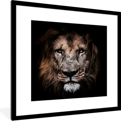 Produktbild von MuchoWow® Gerahmtes Poster Löwe - Tiere - Schwarz 40x40 cm - Poster mit Schwarzem Bilderrahmen Wandposter Rahmen Foto Bilder - Poster - Plakat im Rahmen