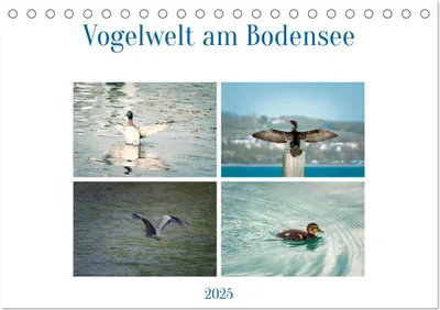 Produktbild von Vogelwelt am Bodensee 2025 (Tischkalender 2025 DIN A5 quer), CALVENDO Monatskalender