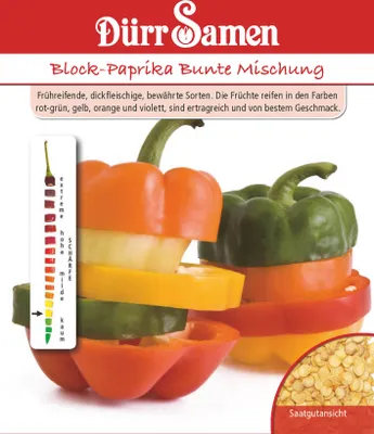 Produktbild von Blockpaprika Bunte Mischung | Blockpaprikasamen von Dürr Samen