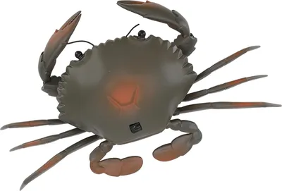 Immagine prodotto di Granchio giocattolo RC, educativo, simulazione di vita marina, modello elettrico di animale per bambini, regalo di compleanno, ciano