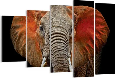 Produktbild von Bild auf Leinwand - Leinwandbild - 5 Teile - Elefant Rot Ohren - 150x100cm - Wand Bild - Wanddeko - Wandbilder - Leinwanddruck - Bilder - Wanddekoration - Leinwand bilder - Wandbild - EG150x100-4237