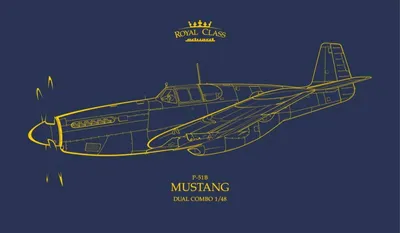 Zdjęcie produktu dla P-51B Mustang Dual Combo – ROYAL CLASS – limitowana edycja – / 1:48