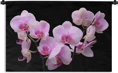 Produktbild von MuchoWow® Wandteppich Wandbehang Orchidee - Blumen - Rosa - Flora 120x80 cm Tapisserie Dekoration Wandtuch - Wanddekorationen - Wandtücher