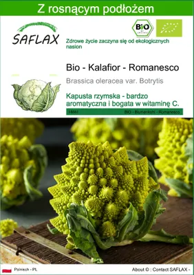 Zdjęcie produktu dla SAFLAX - Bio - Kalafior - Romanesco - 50 Nasiona - Z podłożem uprawowym wolnym od zarazków - Brassica oleracea var. Botrytis