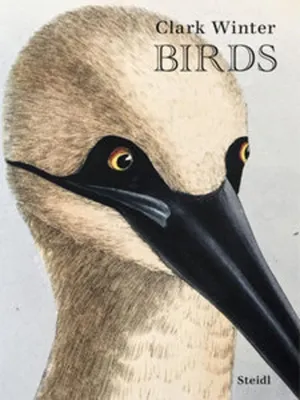Image de Birds