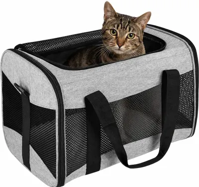 Klappbare Transporttas für Katzen & Hunde, 38x25x26 cm, atmungsaktiv