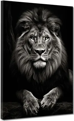 Produktbild von Löwe wunderschön frontal Black Leinwandbild Wandbild Kunstdruck XL Wanddeko: 60x80x4cm