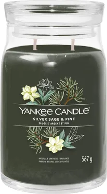 Produktbild von Silver Sage & Pine - Yankee Candle - große Duftkerze