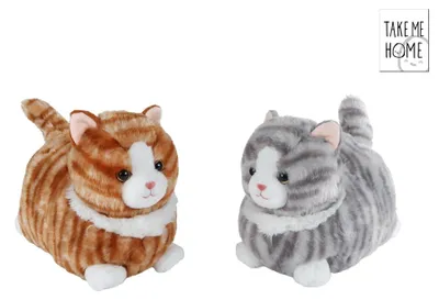 Produktbild von Nimm mich mit nach Hause, liegende Katze aus Plüsch, 25 cm