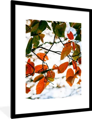 Produktbild von MuchoWow® Gerahmtes Poster Herbst - Blätter - Landleben - Jahreszeiten 60x80 cm - Poster mit Schwarzem Bilderrahmen Wandposter Rahmen Foto Bilder - Wohnzimmer - Dekorationen - Prämie