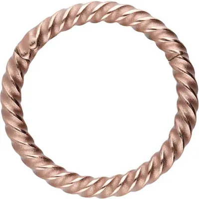 Produktbild von Ohrpiercing, Nasenpiercing, Septum Piercing Chirurgenstahl Segmentring Clicker GEDREHT