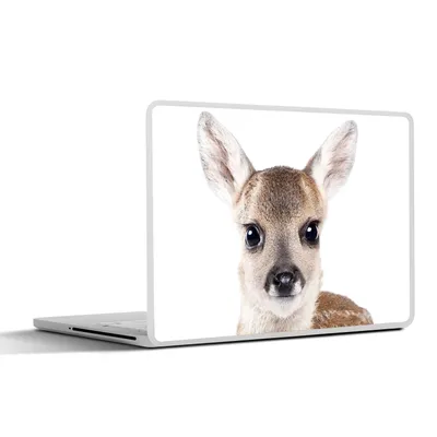 Produktbild von MuchoWow® Laptop Aufkleber Sticker Cover Hirsche - Tiere - Braun - Natur 36.5x27.5 cm - Laptop-Sticker