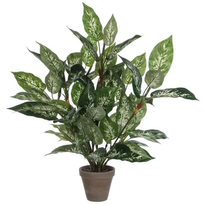Produktbild von Mica Decorations Kunstliche Pflanze - Dieffenbachia - grun - 70 cm
