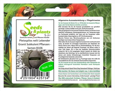 Produktbild von 10x Pleiospilos nelii Lebender Granit Sukkulent Pflanzen - Samen B106