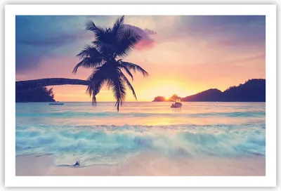 Produktbild von Poster - Poster ohne Rahmen - Meer Strand Palme - 91,5x61 cm - Wand Bild - Wanddeko - Wandbilder - Kunstposter - Wandposter - Bilder - Kunstdruck - Wanddekoration - Wandbild - P2XAA91x61-3992
