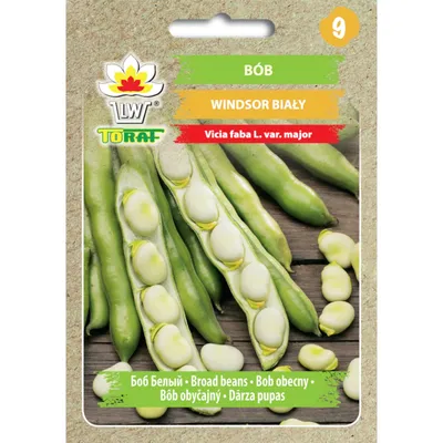 Produktbild von Windsor Weisse Saubohnen 50G