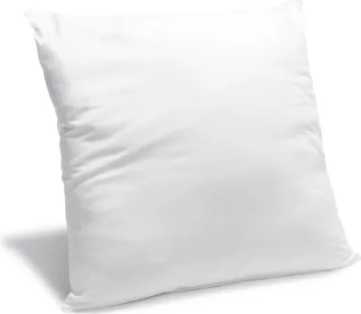 Image de Bleu Calin Oreiller Moelleux Anti-punaises de lit 60x60cm