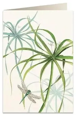 Image de Carnet B6 + enveloppe 6029 Libellule - Tassotti
