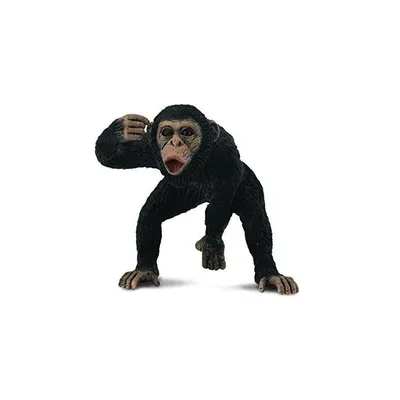 Immagine prodotto di Scimpanzé Collecta maschio 88492 84929