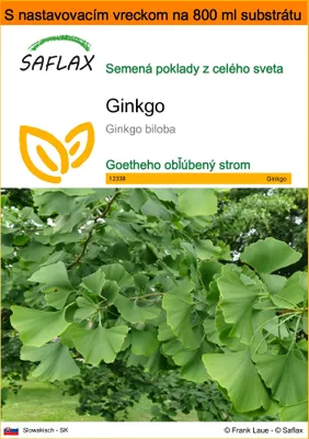 Obrázok produktu pre SAFLAX Garden in the bag - ginkgo - Ginkgo biloba - 4 Semená - S pestovateľským substrátom v praktickom samostaviteľnom vrecku