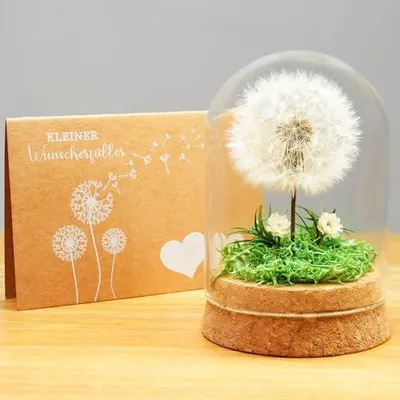 Produktbild von Wunscherfüller Pusteblume im Glas - Besondere Geschenkidee, Geburtstagsgeschenk für Frauen, Glücksbringer und Kleinigkeit für Freundin, Deko Geschenke im Glas, Blumen Geschenk