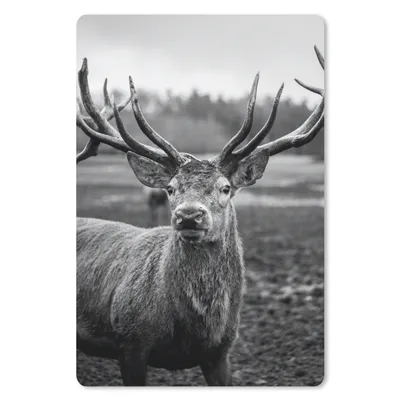 Produktbild von MuchoWow® Mauspad Mousepad Tiere - Hirsch - Geweih - Schwarz und weiß - Natur 40x60 cm - Mousepads - Maus Mat - Pad - Mausunterlage - Schreibtisch Accesoire