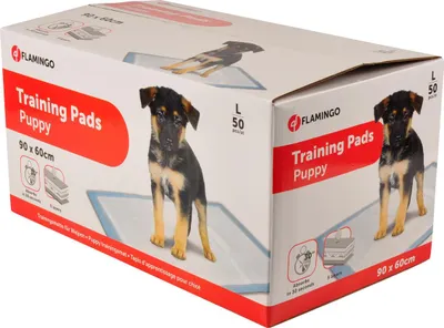 Produktbild von Flamingo Trainingsmatte Pady, Größe: L / Inhalt: 50 Stück