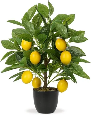 Immagine prodotto di Albero di agrumi in plastica nera, 40 cm, pianta da interno con fiori e frutti di agrumi, pianta artificiale da appartamento per soggiorno, cucina, ufficio.