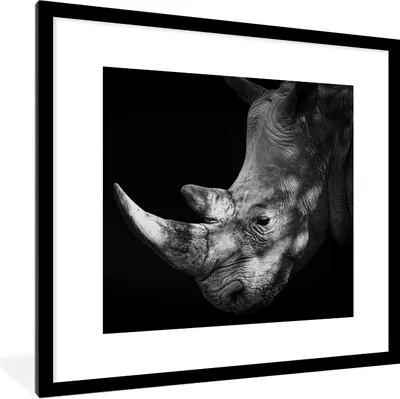Produktbild von MuchoWow® Gerahmtes Poster Rhinozeros - Tier - Licht 40x40 cm - Poster mit Schwarzem Bilderrahmen Wandposter Rahmen Foto Bilder - Poster - Plakat im Rahmen