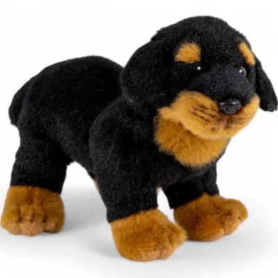 Obrázok produktu pre Carl Dick Rotvajler stojaci cca 20cm, plyšová hračka, plyšová hračka, plyšák 3680