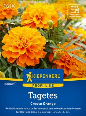 Produktbild von Kiepenkerl Tagetessamen Cresto Orange Tagetes patula 50 Pflanzen