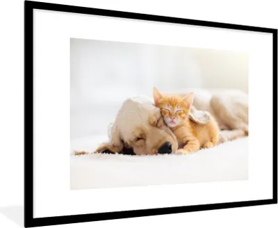 Produktbild von MuchoWow® Gerahmtes Poster Tiere - Hund - Kätzchen - Rot 90x60 cm - Poster mit Schwarzem Bilderrahmen Wandposter Rahmen Foto Bilder - Wanddekoration - Fotos