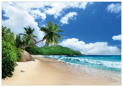 Produktbild von Wallario Premium Glasbild, freischwebende Optik, kräftige Farben, Größe 100 x 70 cm Motiv Urlaub auf den Seychellen unter Palmen am Sandstrand