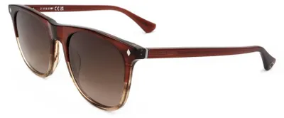 Produktbild von Web Sonnenbrille WE0339 71F 53 20 145
