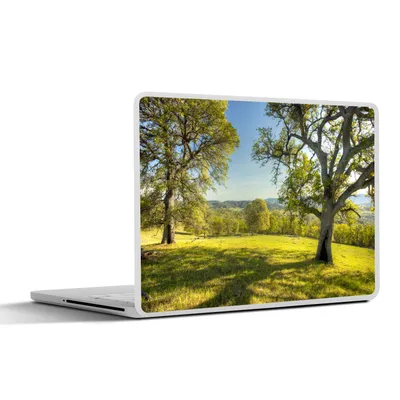 Produktbild von MuchoWow® Laptop Aufkleber Sticker Cover Baum - Gras - Amerika 32.5x23.5 cm - Sticker für Laptop - Selbstklebend