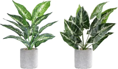 Produktbild von Kunstpflanze 38 cm, im Topf, für Wohnzimmer