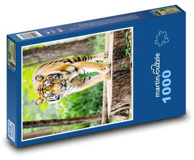 Zdjęcie produktu dla Puzzle 1000 Tygrys w lesie - martinpuzzle