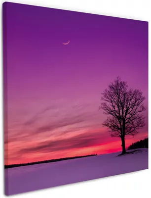 Produktbild von Wallario Premium Leinwandbild Mond und Baum am Abend bei Schnee in Größe 50 x 50 cm