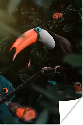 Produktbild von MuchoWow® Poster Tukan - Vogel - Schmetterling 60x90 cm - Wanddekoration
