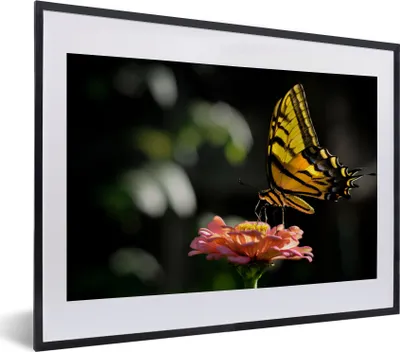 Produktbild von MuchoWow® Gerahmtes Poster Schmetterling - Botanisch - Blume 40x30 cm - Poster mit Schwarzem Bilderrahmen Wandposter Rahmen Foto Bilder - Bilderrahmen - Poster im Rahmen