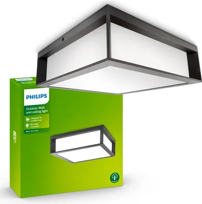 A Philips outdoor wall and ceiling light is shown next to its packaging.