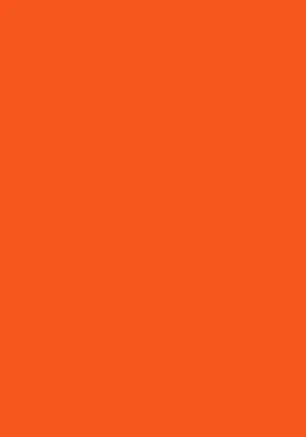 Produktbild von 100 Blatt farbiges Druckerpapier / buntes Kopierpapier / Farbe: intensiv orange