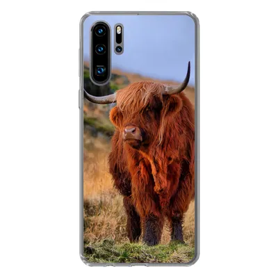 Produktbild von MuchoWow® Handyhülle Schutzhülle Hülle für Huawei P30 Pro Schottische Highlander - Gras - Steine Silikon Softcase Handy Hülle - Schutzdeckel