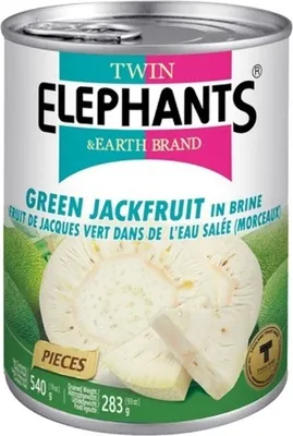 Produktbild von TE Grüne Jackfrucht 540g (ATG 283g)